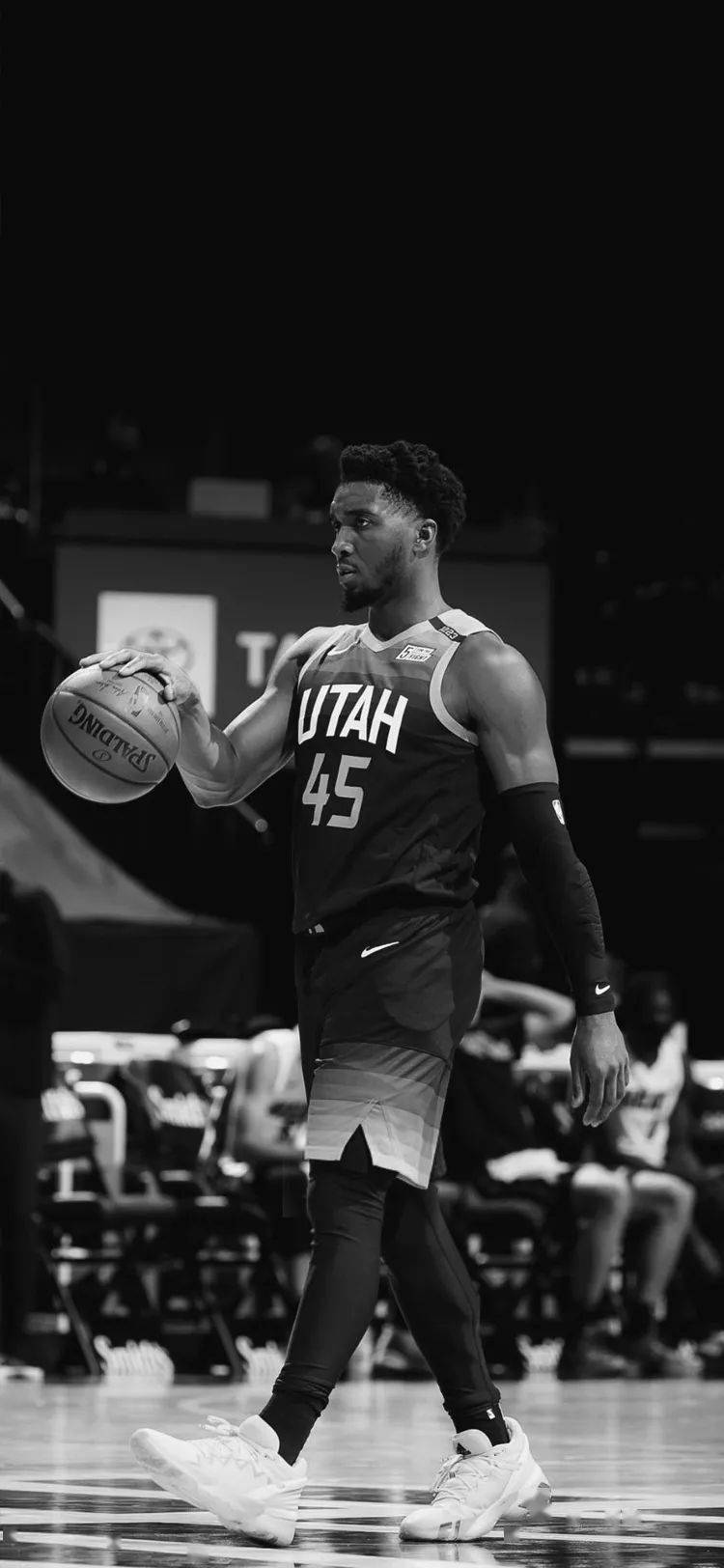 E组和F组 E组和F组